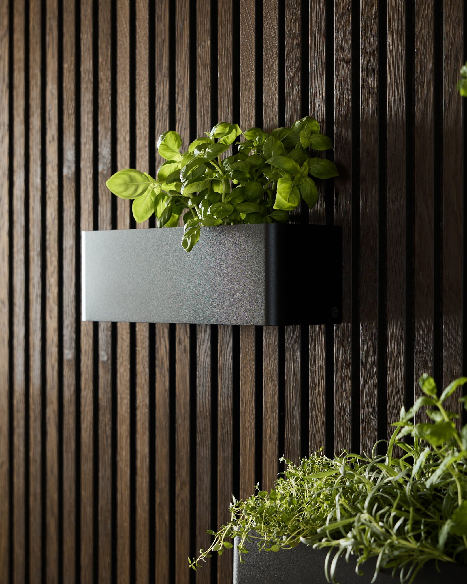Uma Plant Box WoodUpp Norr de 35,9 cm em black, com manjericão verde, colocada num painel acústico ripado escuro, ao lado de outro vaso com folhas verdes.